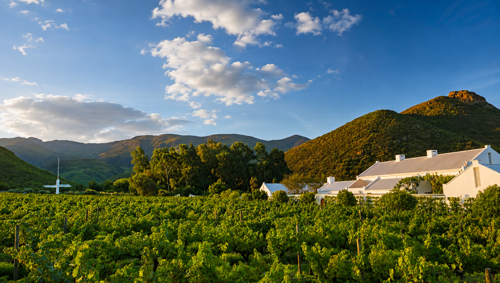 Klawerjas homestead and vineyard beneath the Klaasvoogds mountains