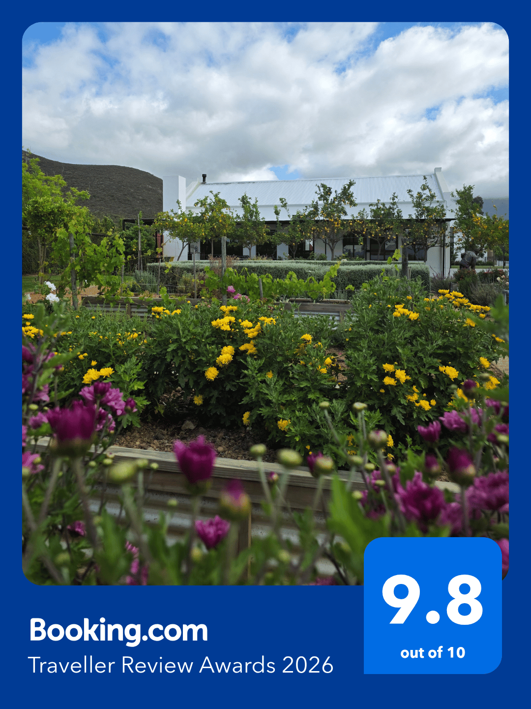 Booking.com Traveller Review Award 2026 for Flute Cottage, rated 9.8 out of 10