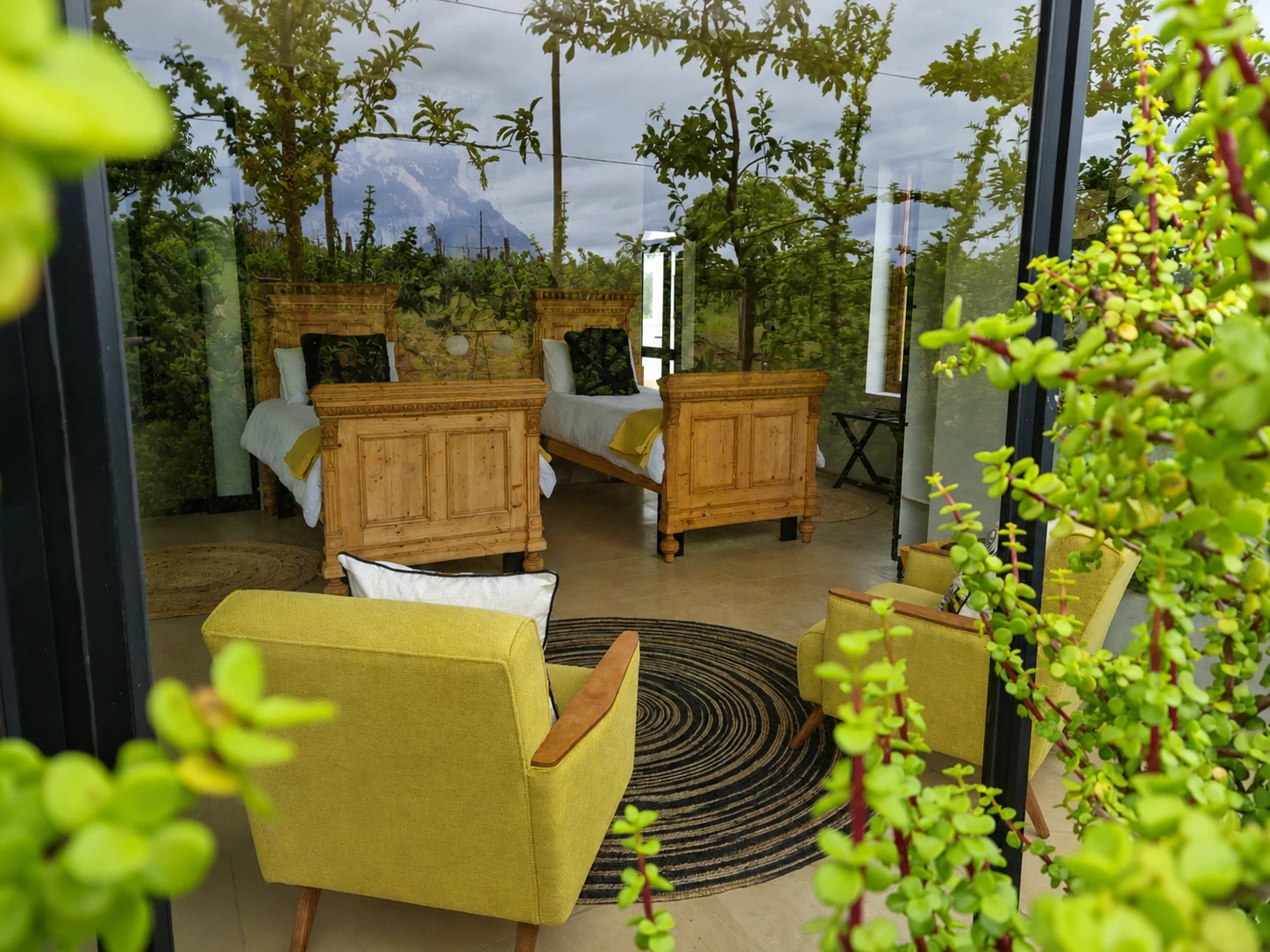 View into Yellow Strings through the window with the vineyard reflected in the glass